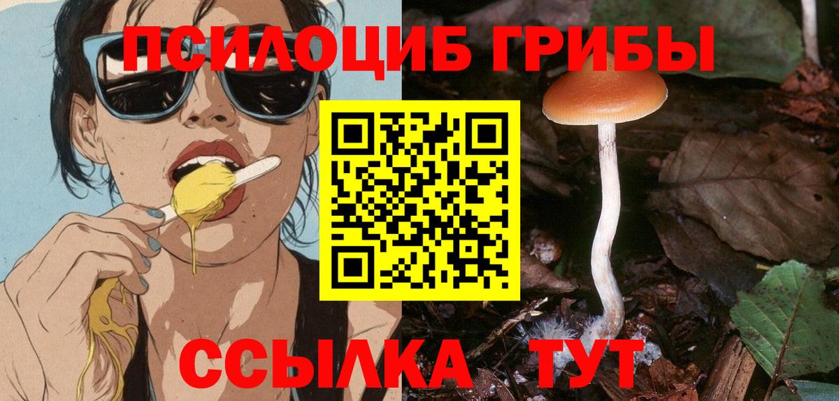 Ессентуки  Псилоцибиновые грибы мицелий  купить наркоту  Вход с VPN 