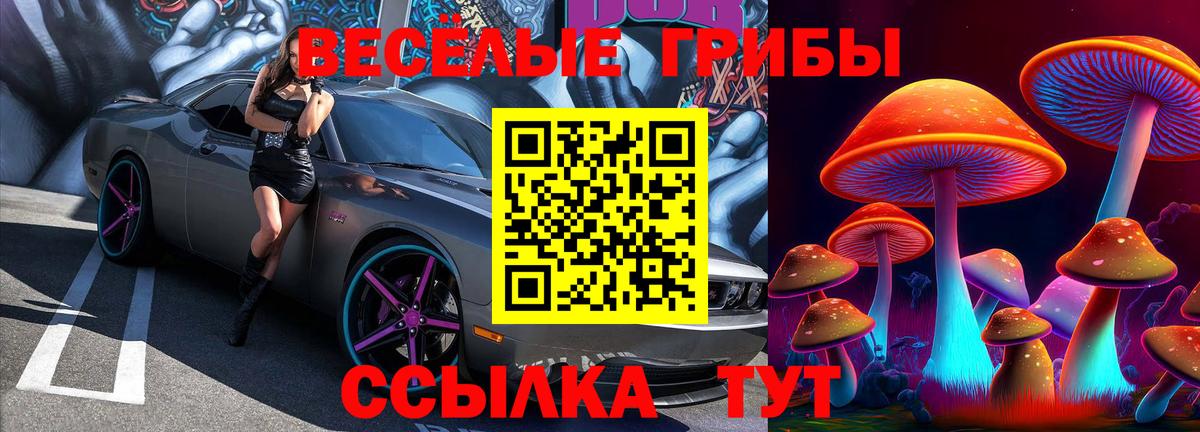 Галлюциногенные грибы мицелий Ессентуки